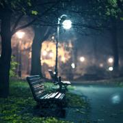 Donker park met het licht van een lantaarnpaal